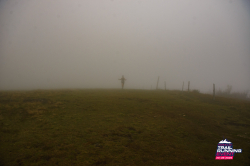 2025-08-23 KTRE 2025_103311_DSC_8546